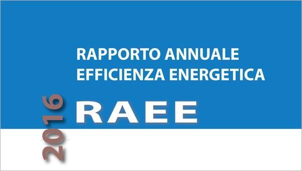 RAEE - Rapporto Annuale Efficienza Energetica 2016