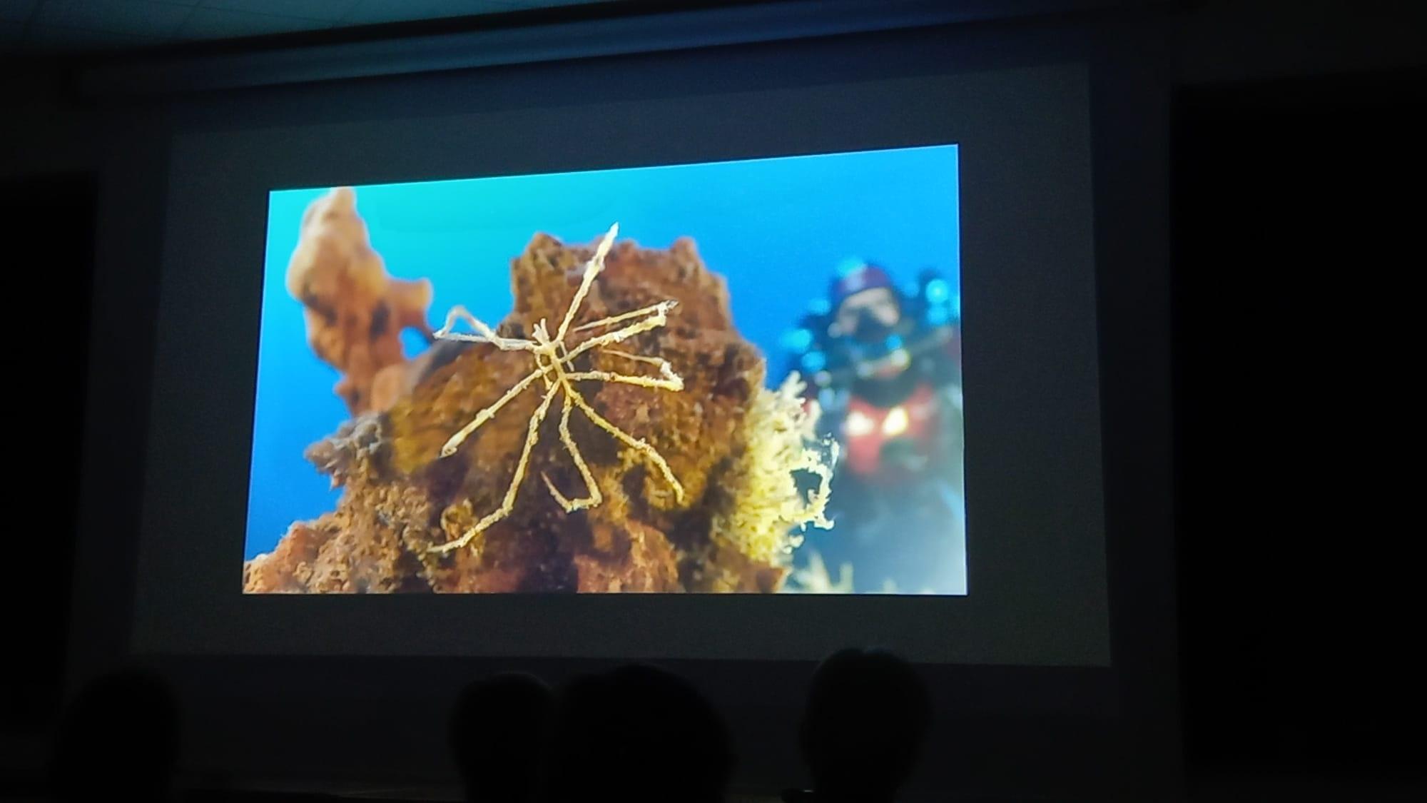 Un fotogramma del video lanciato in occasione del convegno il convegno Transizione energetica: fonti rinnovabili e innovazione