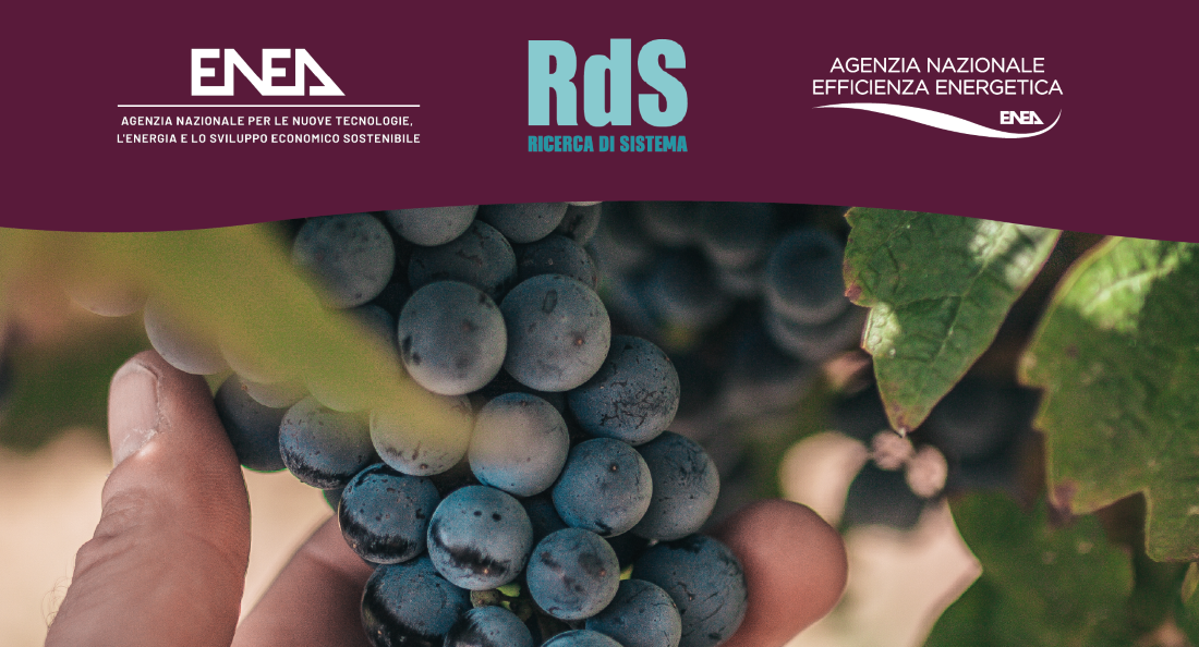 Una sezione della copertina della guida sull'efficientamento energetico delle aziende vitivinicole con i loghi di ENEA, RdS e Agenzia Nazionale per l'Efficienza Energetica  
