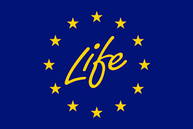 La locandina del bando europeo LIFE 2022 con 14 stelle gialle su sfondo blu