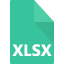 xlsx1